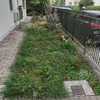 Piantare Giardino