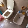 Installare O Cambiare Sanitari