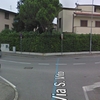 Potare O Tagliare Alberi