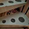 Realizzare Scala In Ferro