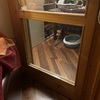 Installare Gattaiola
