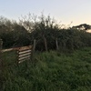 Pulire Terreno Agricolo