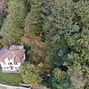 Potare O Tagliare Alberi