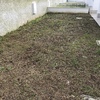 Posare Cemento Stampato