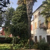 Manutenzione Giardino