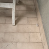 Pulizia Guano Piccioni