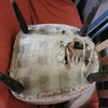 Rifoderare Poltrone