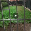 Sostituire O Installare Cancello
