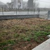 Piantare Giardino