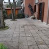 Potare O Tagliare Alberi