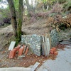 Potare O Tagliare Alberi