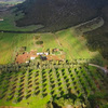 Piantare Giardino