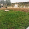 Manutenzione Giardino