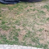 Manutenzione Giardino