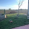 Posare Prato Sintetico