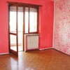 Levigatura parquet