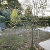 Posa in opera giardino a grottaferrata