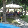 Abbattimento alberi