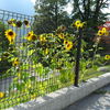 Rifacimento muro confine