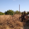 Pulizia terreno agricolo