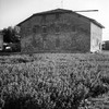 Demolizione di Parte di Casa Colonica