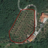 Pulire Terreno Agricolo
