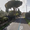 Potare O Tagliare Alberi