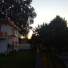 Potare O Tagliare Alberi