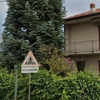 Potare O Tagliare Alberi