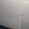 Riparare Infiltrazioni