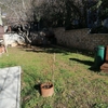 Piantare Giardino