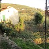 Allargamento strada di campagna