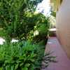 Manutenzione Giardino