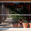 Tenda trasparente con guide per verande