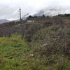 Pulizia terreno agricolo