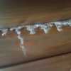 Derattizzazione