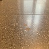 Lucidare Pavimenti Casa