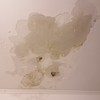 Riparare Infiltrazioni