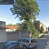 Potare tiglio