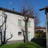 Taglio alberi