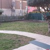 Posare Prato Sintetico