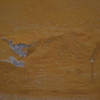 Ridipingere ingresso