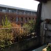 Veranda removibile