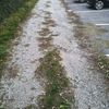 Asfalto strada privata ternate (varese)