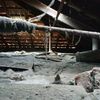 Pulizia solaio/sottotetto 60 mq circa accesso con scala a pioli