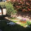 Manutenzione Giardino