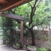 Abbattimento albero