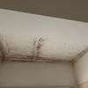 Dipingere Interno Casa