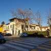 Potare O Tagliare Alberi