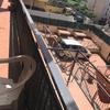 Fornire Tenda Da Sole (Senza Installazione)